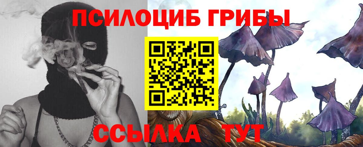 Великие Луки  Псилоцибиновые грибы Magic Shrooms  Вход с VPN 